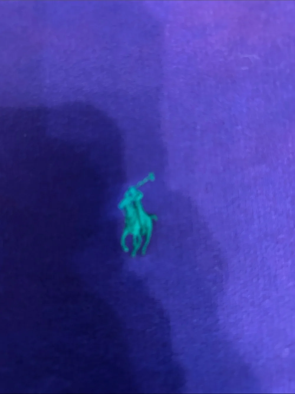 Polo by Ralph Lauren Purple Crewneck Sweatshirt with Teal Pony*